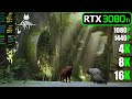 RTX 3080 Ti | STRAY - 1080p, 1440p, 4K, 8K and 16K