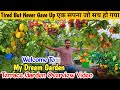 My Beautiful Garden Full Tour | MRK Green Garden Overview 2025 