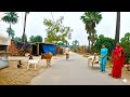 The Most Peaceful Morning in an Indian Village | Experiencing the Rustic Life of India