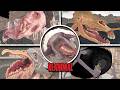 REANIMAL - ALL Bosses \u0026 Monsters Behind The Scenes (Full Bright Mode)