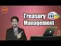 What is Treasury Management in Hindi/Urdu