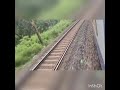 Salekasa to Darekasa train journey through dense forest I on board Gondia Jharsuguda MEMU.