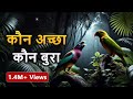Kaun Acha Kaun Bura | Hindi Moral Story (Spiritual TV) #spiritualtv