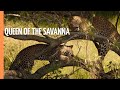 Life in the Serengeti: The Leopardess - Queen of the Savanna | Full Documentary