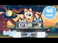 🔴LIVE: Transport Adventures! 🍕 🚘 | Travel Fun with Bluey and Bingo | Bluey