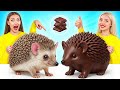 Real Food vs Chocolate Food Challenge | Cool Food Tricks by Multi DO Challenge