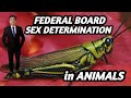 SEX DETERMINATION IN ANIMALS| X:A AUTOSOME | CHAPTER NO. 22| FEDERAL BOARD| LECTURE NO.09 |TIBS |