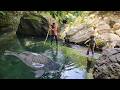 full video: Meet giant fish in the wild. Primitive fish catching skills. Caught many giant fish