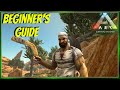 How to Get the BEST Start in Scorched Earth - Beginner's Guide - Ark: SE