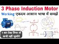 3 Phase Induction Motor Working Principle | Induction Motor Working