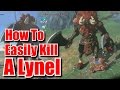 How to Quickly Kill a Lynel - Boss Fight - Zelda Breath of the Wild - Tips and Tricks