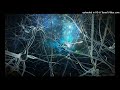 Syntax - Destiny