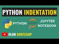 Python Indentation (Python Tutorials for Beginners #3)