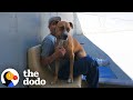 Reactive Rescue Dog Becomes a Mentor for Men in Prison | The Dodo