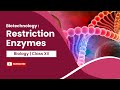 Restriction Enzymes | Biotechnology : Principles and Processes | Biology | Class 12