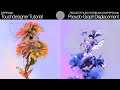 AUDIOREACTIVE PSEUDO-DATA-GRAPH DISPLACEMENT - TOUCHDESIGNER TUTORIAL