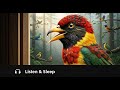 Top 100 Most Mysterious Birds in the World 🕊️ With the Most Beautiful Songs Ever Heard | 4K ASMR