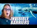 Invisible Barriers in the Ocean That Animals Cannot Cross