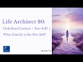 Life Architect 80: Undefined Centers = Not Self ? I What Exactly is the Not Self?
