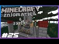 Enigmatica 6 Expert Ep.25 Tier 4 Blood Alter \u0026 Red Chalk