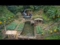 Time Lapse: Building a Paradise in the Forest | Build Log Cabin, Hydroelectric, Gardens \u0026 Fish Pond