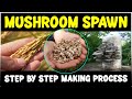 Mushroom Spawn Production Process