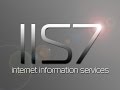 IIS   How to host multiple websites on a single webserver via the host file