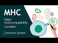 Major Histocompatibility Complex | Basic Science Series