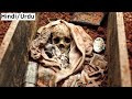 Exhuma (2024) Movie Explained Full Story Summarizes