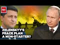 Zelenskyy’s 10-Point Peace Plan: Russia Fumes, West's Tepid Response | What Is Ukraine Proposing?