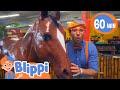 Blippi Explores Jungle Animals | Kids Fun \u0026 Educational Cartoons | Moonbug Play and Learn