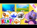 Ek Chota Kent | Yeh Jaanwar Kahaan Rehte Hain ? Where do animals belong?