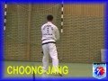CHONG-JANG   2ºTul   II Dan