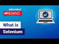 What Is Selenium  | Selenium Tutorial For Beginner | Selenium Training | Edureka  Rewind