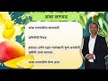 #आंबा_लागवड | इस्राइल-जर्मन पद्धतीने सुरु असलेली चुकीची आंबा लागवड |  योग्य अंतराची निवड | #Mango