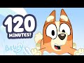 Having Fun on the Slide! 🤩 | 2 HOURS of the Best Bluey and Bingo Clips 💙 | Compilation | Bluey