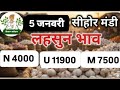 Sehore Mandi Garlic Price on 5th January Sehore Mandi Garlic Price Today