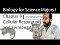 Chapter 9 – Cellular Respiration and Fermentation CLEARLY EXPLAINED!
