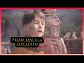 Prima Macula Explained - A Plague Tale: Innocence