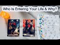 Who Is Entering Your Life \u0026 Why? Hindi Tarot Reading Timeless Pick A Card!
