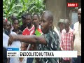 Endooliito ku ttaka, ab'effumbe batuunka ne ba mulekwa.