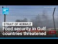 Middle East conflict threatens food security in Gulf countries • FRANCE 24 English