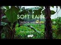 Soft Rain On Leaves | NO MIDROLL ADS | Soothing Gentle Rain Sounds For Sleeping🌧