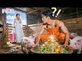 Poor Girl Was Forced to Marry a Farmer—Unaware Gold Bars in the Pigsty Exposed the CEO’s Identity!