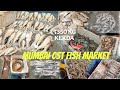 MUMBAI CST FISH MARKET || ₹350 Kg KEKDA || Cheapest (Wholesale) Fish Market 👍🏼💯