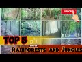 Top 5 rainforest or jungles😍😱