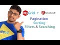 agGrid + angular: Pagination, Sorting, Searching and filters [data table]