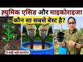 माइकोराइजा और ह्युमिक एसिड में फर्क क्या है? Humic Acid | mycorrhiza bio fertilizer | highpower khad