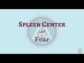 The Spleen Center and Fear - Human Design