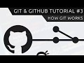 Git \u0026 GitHub Tutorial for Beginners #3 - How Git Works